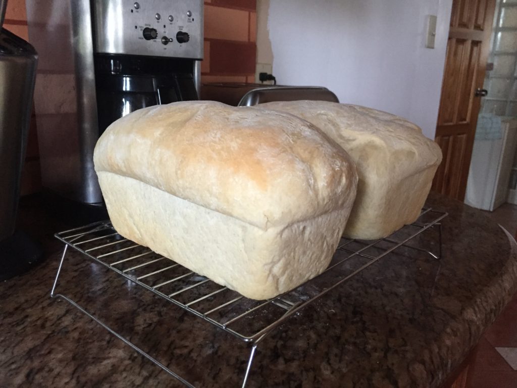 Fresh bread