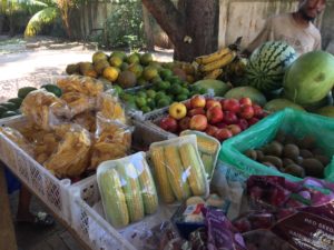 Hopkins Village Market