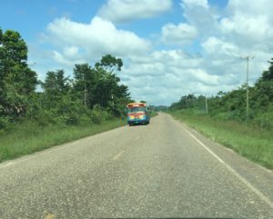 buses in belize