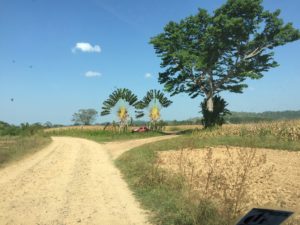 Belize roads