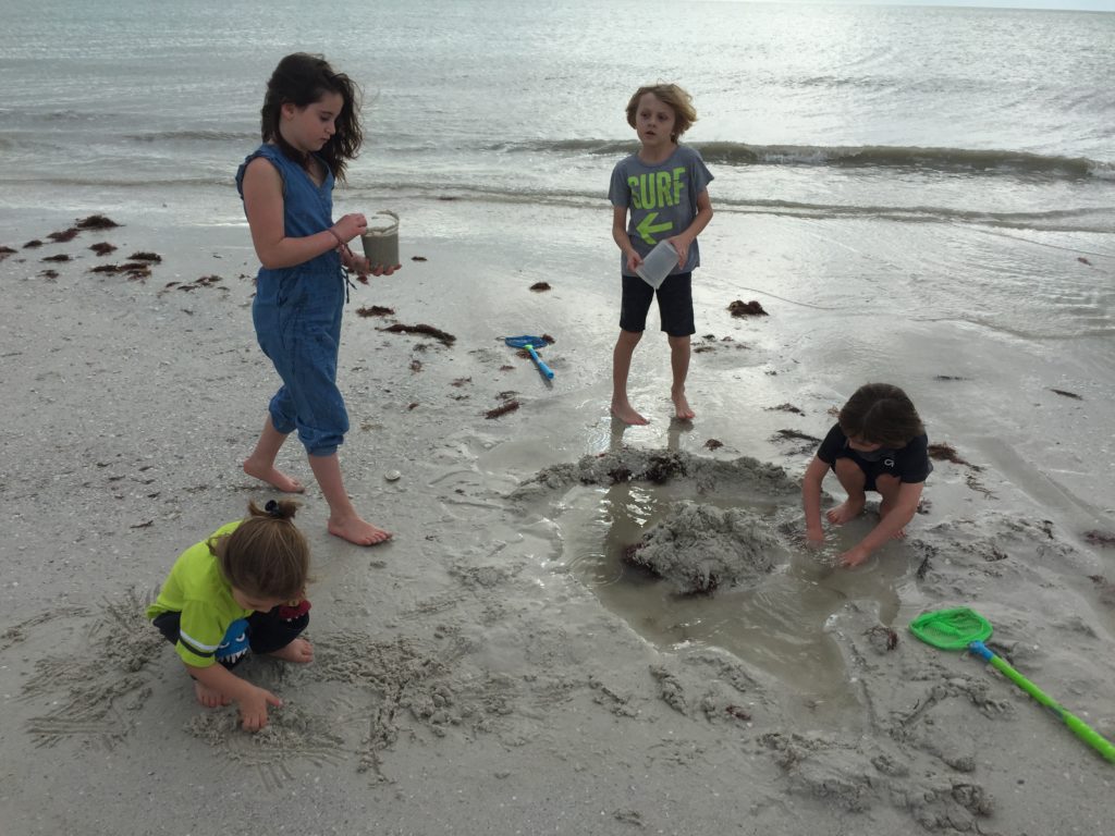 Florida Beach