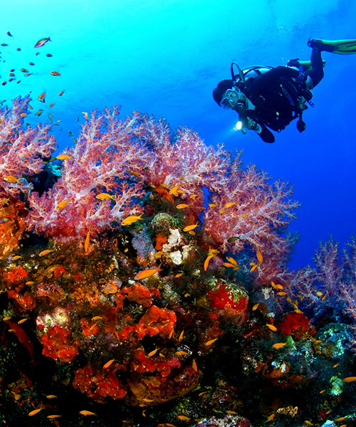 belize all inclusive packages diving