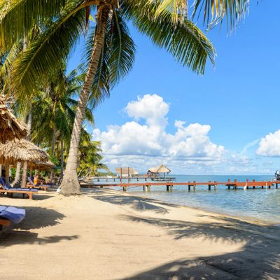 Palm trees on Belize beach