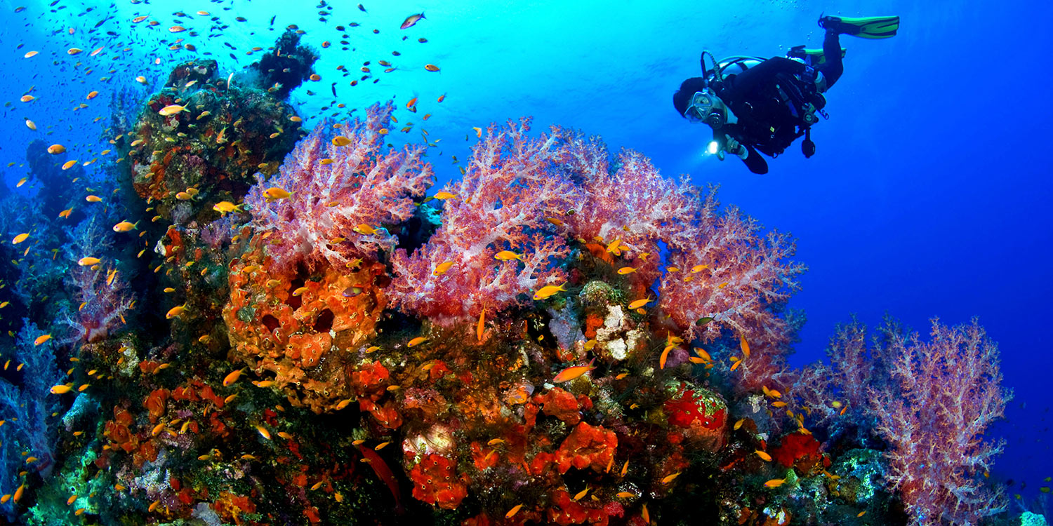 Belize scuba diving
