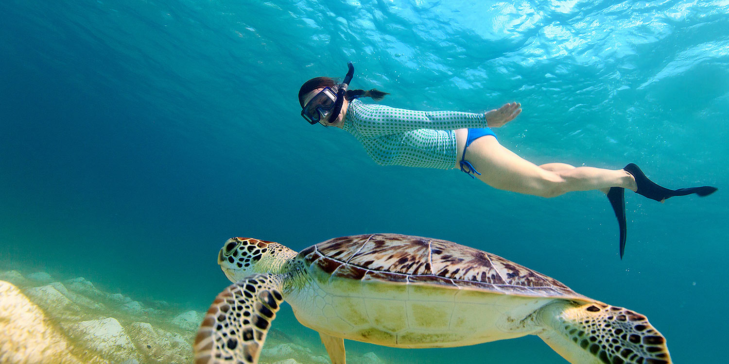 Belize trip turtle snorkel