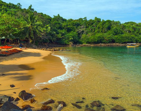 Belize jungle beach