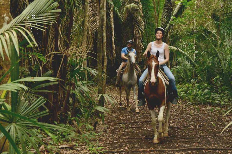 Belize jungle horseback