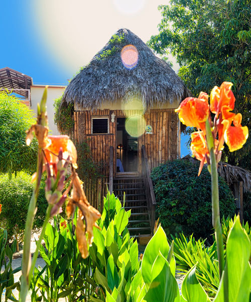 Treehouse with flowers