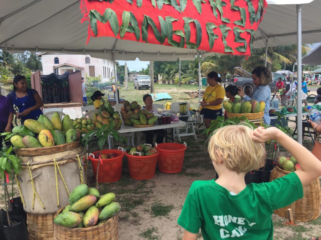 Lots of Mangoes 2018