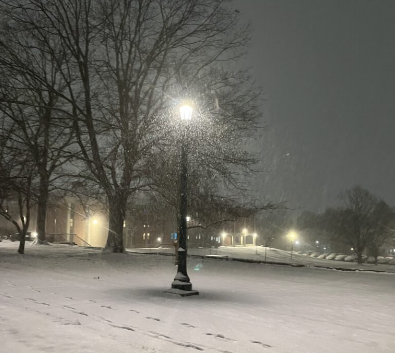 Lightpost in a snowstorm