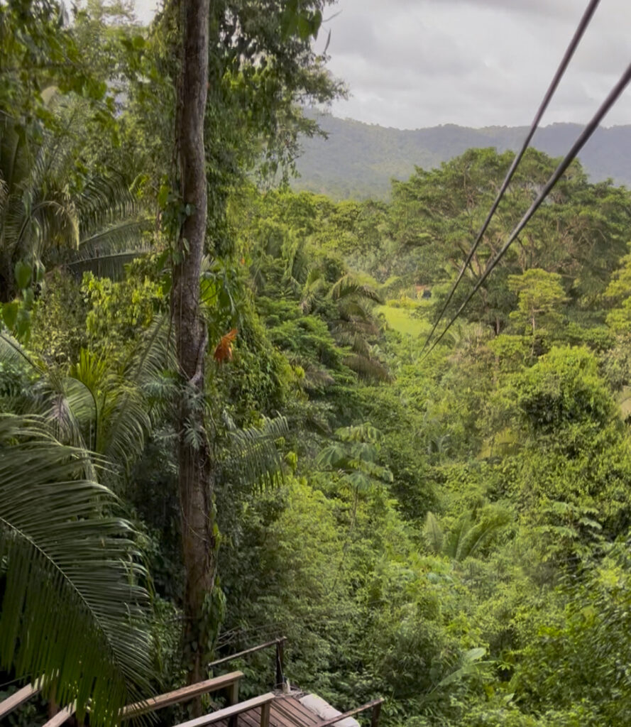 POV shot of ziplining above jungle